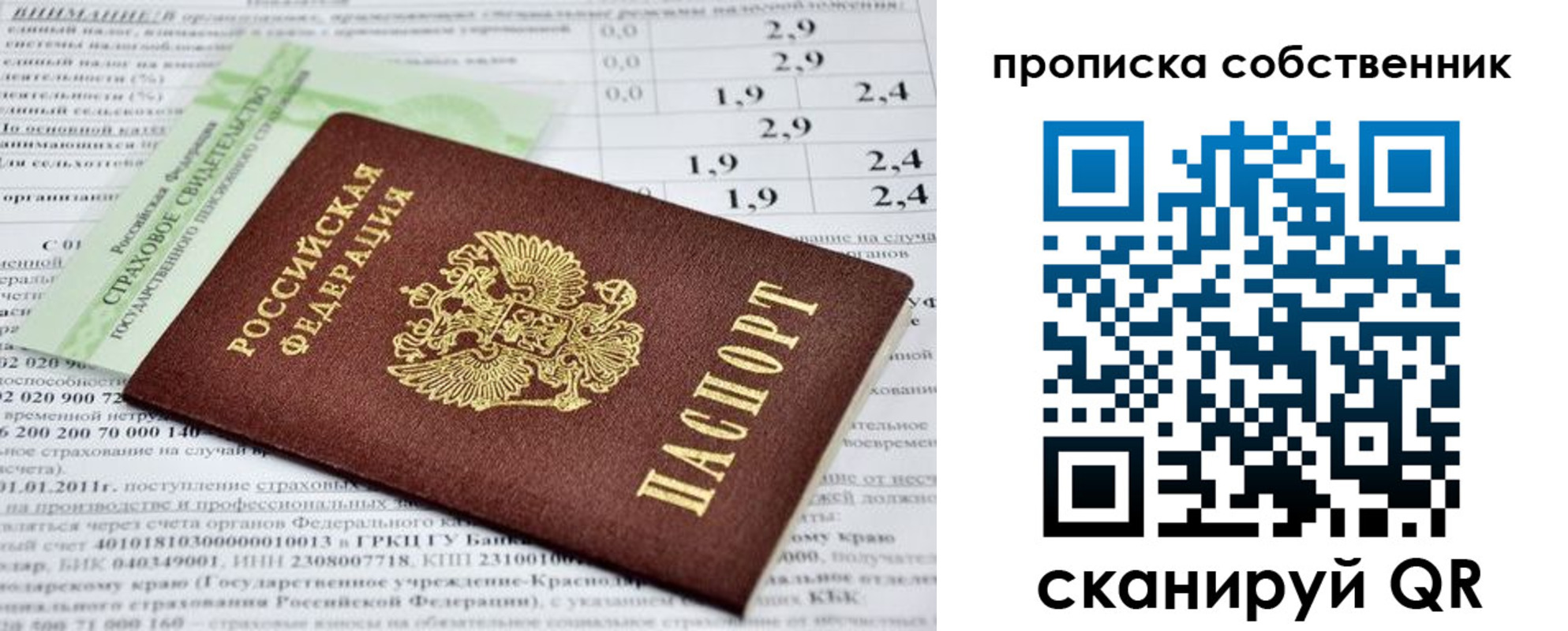 прописка 2025 в Светогорске